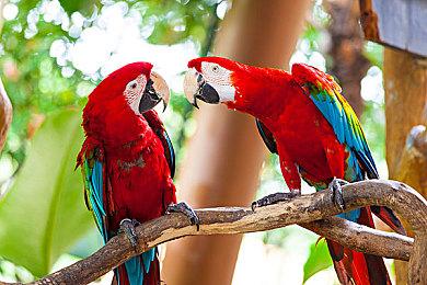 CircoLoco Records 出品 Chloé Caillet 的《Know Now》